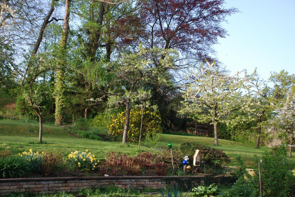 La Maison De Georges - Les Coquelicots Scharrachbergheim-Irmstett Rum bild
